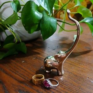 🌿Elephant Ring Holder
